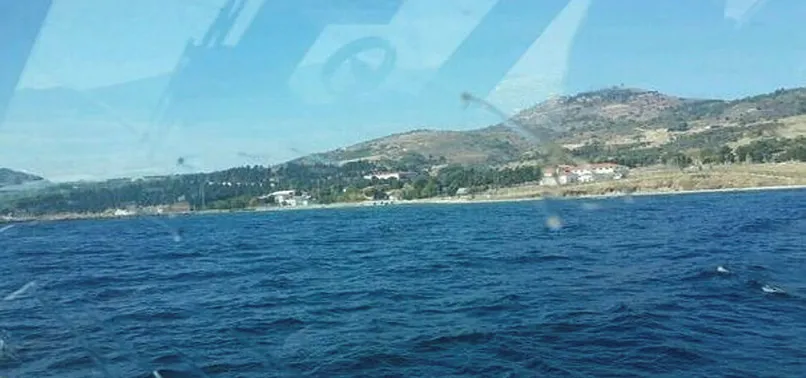 Son dakika: İmralı Adası'nda orman yangını