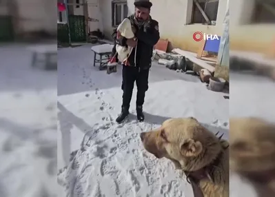 Kazından helallik istedi