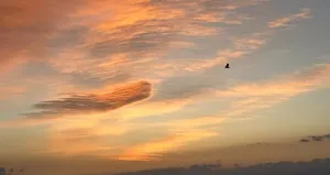 Görenleri hayran bırakan görüntüler!