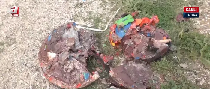 Adana’da ormanlarda katı atık felaketi - 3