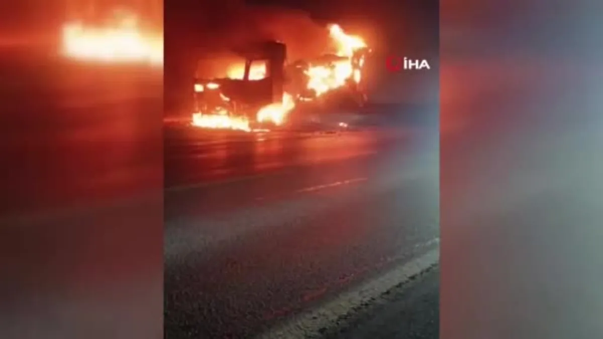 Avokado yüklü tır alev topuna döndü