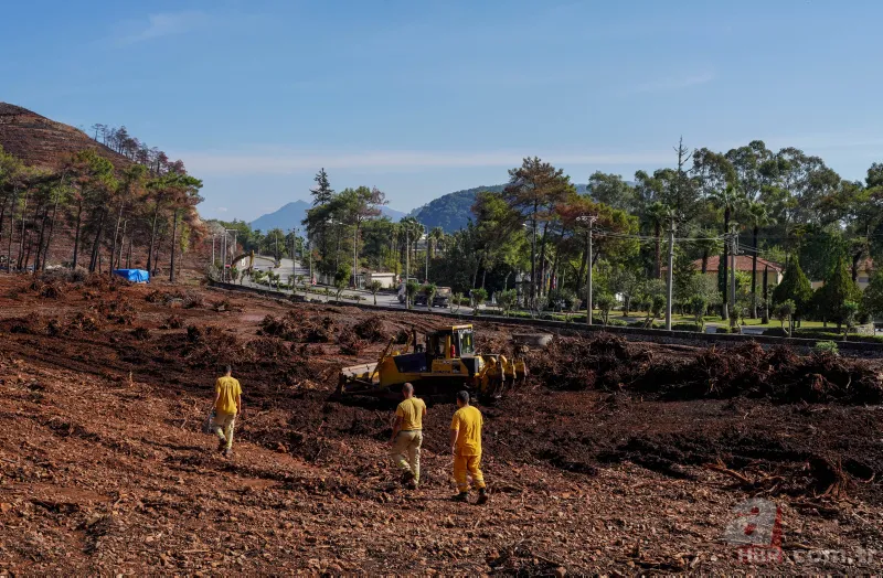 Orman Genel Müdürlüğü mevsimlik işçi alımı 2022 | Bakanlık duyurdu! Karar Resmi Gazete'de! İş arayanlara güzel haber 1