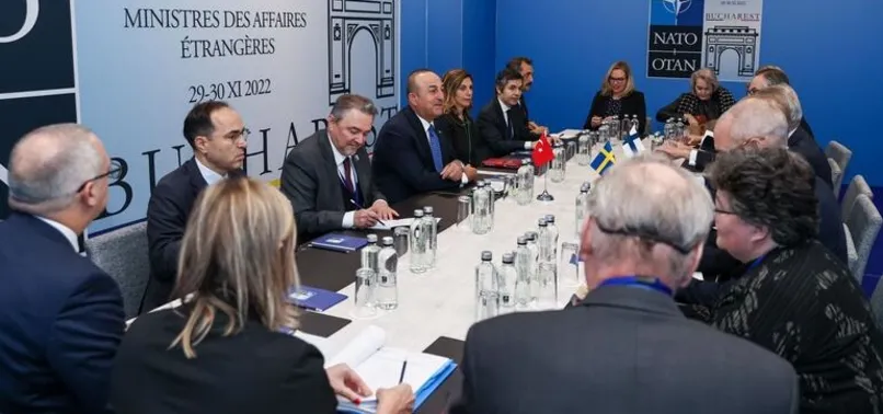 Dışişleri Bakanı Mevlüt Çavuşoğlu, İsveç ve Finlandiyalı mevkidaşlarıyla görüştü