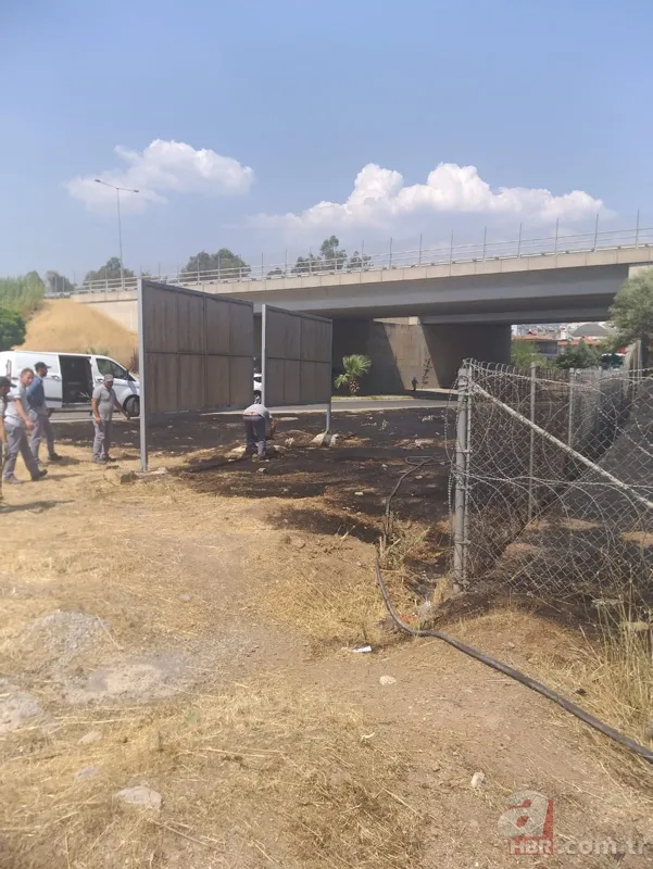 Aydın'da araç içinden atılan sigara yangına sebep oldu 3