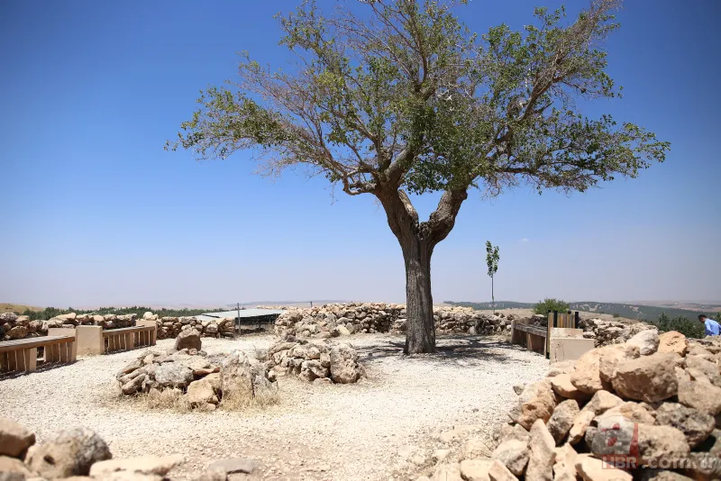 Başkan Recep Tayyip Erdoğan 2019 yılının Göbeklitepe yılı ilan edildiğini açıkladı! İşte Göbeklitepe hakkında bilinmesi gerekenler 25