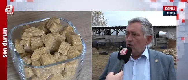 bursa-ziraat-odasi-baskani-sadi-aktas-kitlik-varmis-gibi-zam-yapanlar-var-1637749270345.jpg Bursa Ziraat Odası Başkanı Sadi Aktaş: Kıtlık varmış gibi zam yapanlar var - 1