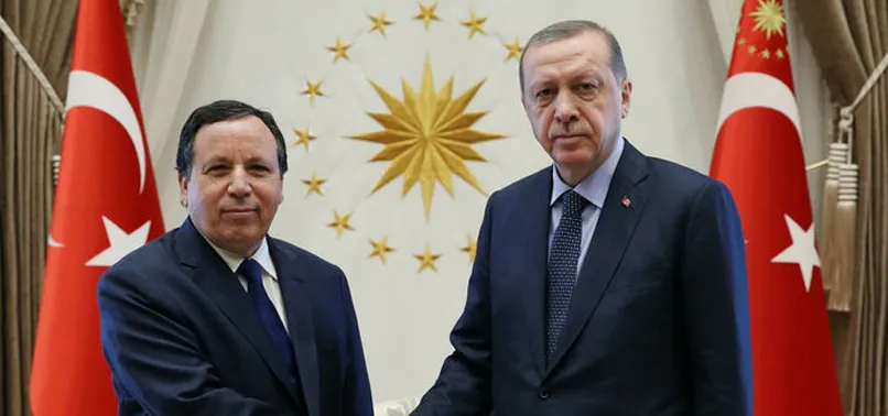 Cumhurbaşkanı Erdoğan Tunus Dışişleri Bakanı'nı kabul etti