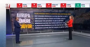 Yerli kömür politikası neden engellendi?