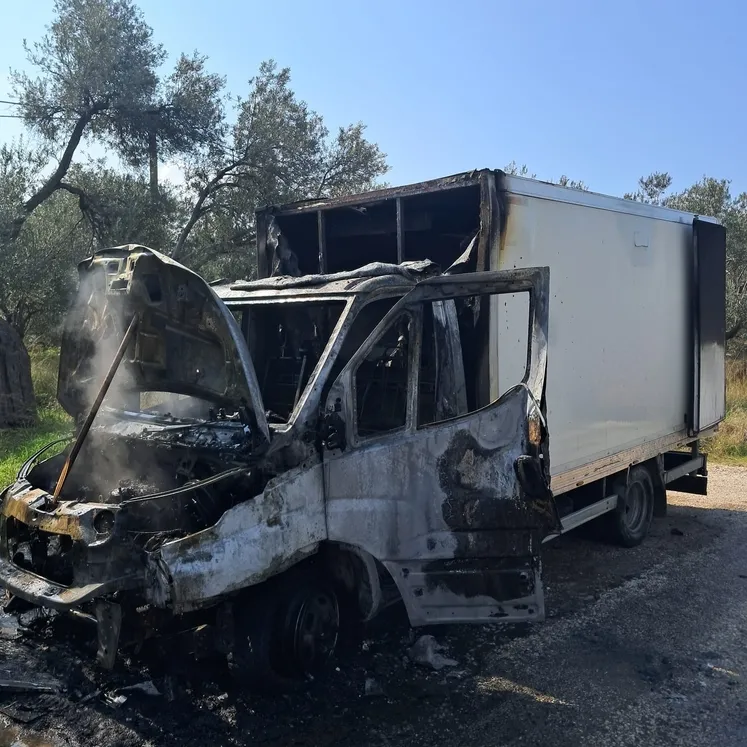 Ayvacık'ta kamyonet yangını