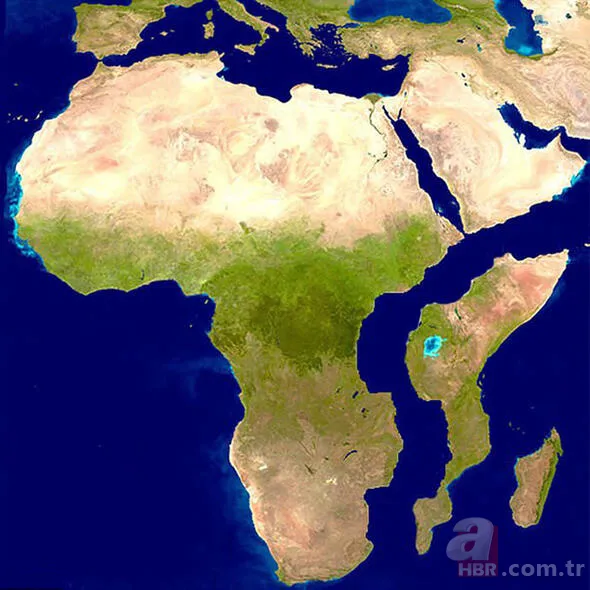 Bilim insanları tedirgin! İşte dünyayı bekleyen o korkunç son... 14