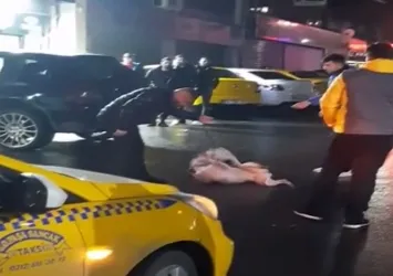 İstanbul'da sokak ortasında pitbull dehşeti!