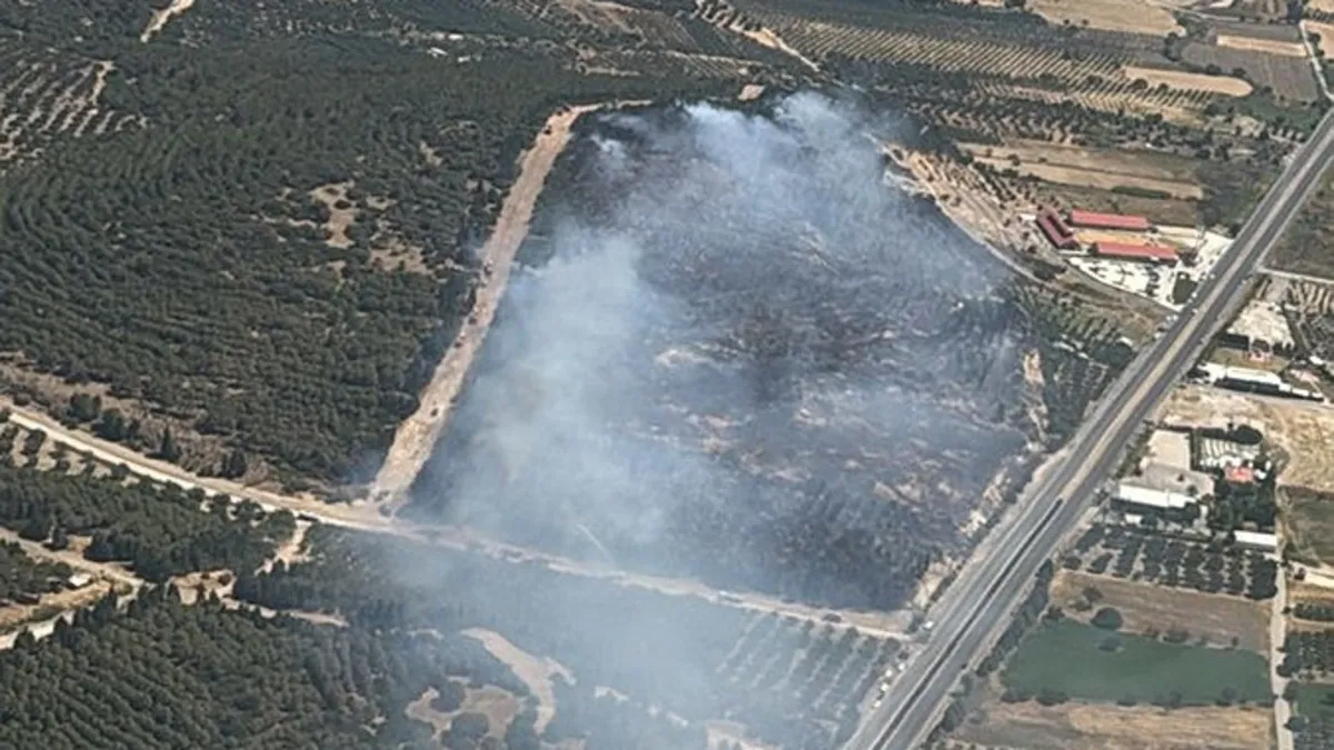 İzmir'de orman yangını! Bir bölgedeki kontrol altında bir bölgede yeni başladı