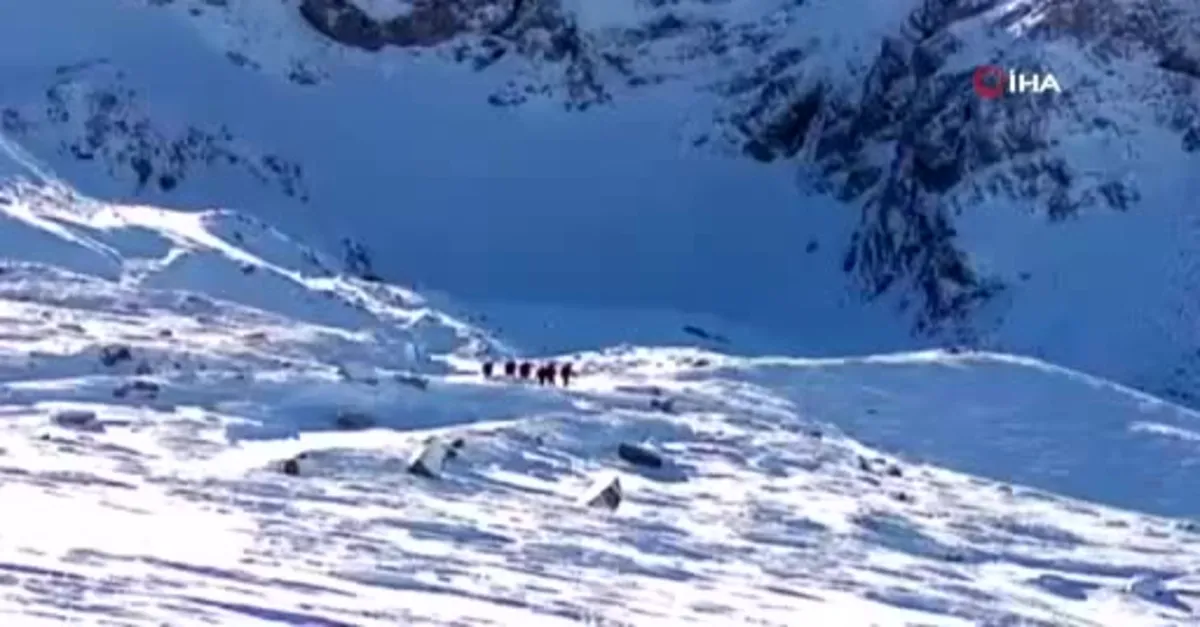 Uludağ’da 2 dağcı kayboldu