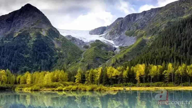 20 bin kişi ansızın kayboldu! Sırrını kimse çözemiyor: Bermuda Üçgeni kadar gizemli... 2