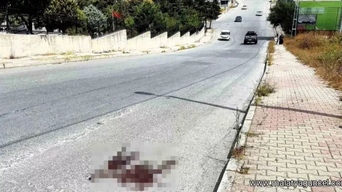 Mezarlık önünde kardeş kavgası cinayetle bitti: 1 ölü