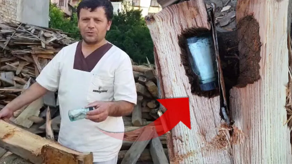Çam odununun içinden 43 yıl sonra çıkan mektup duygulandırdı