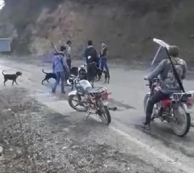 Denizli’de yaraladıkları yavru domuzu av köpeklerine parçalatan avcılara ceza - 5