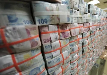Serbest bölgelerdeki ticaret TL ile olacak