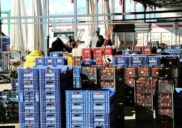 Sebzeyi don vurdu! Artan fiyatlar yarı yarıya düşecek