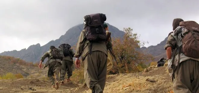 Son dakika: PKK’da çözülme sürüyor! İki terörist daha teslim oldu