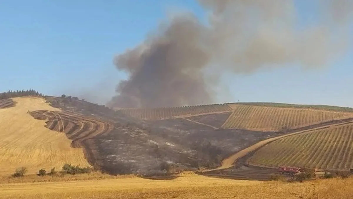 Çanakkale'de tarım arazisinde çıkan yangın kontrol altına alındı