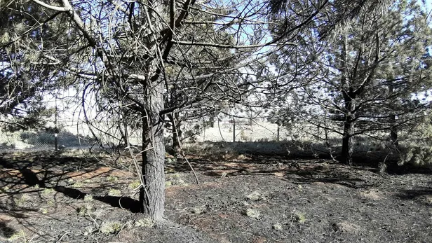 Genel Hayata Etkili Afet Bölgesi ne demek? Afet bölgesi ilan edilince ne olur? Afet bölgesi ilan edilen yerler şehirler...