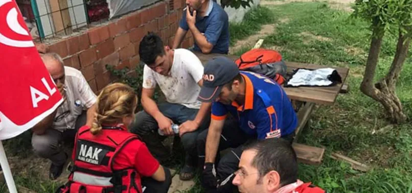 Arabayla kaza yaptı, inekleri takip ederek kurtuldu!