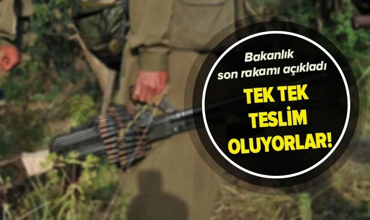 PKK’da çözülmeler hız kesmiyor! Teslim olan terörist sayısı 206’a yükseldi
