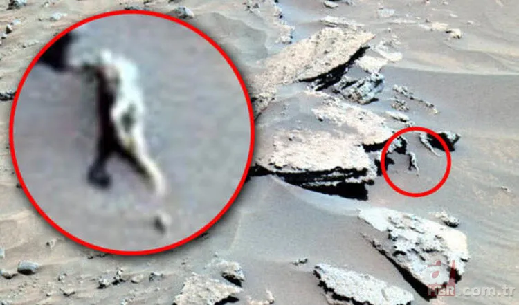 NASA aracının yakınında bulundu! Mars'ta dehşete düşüren keşif... 3