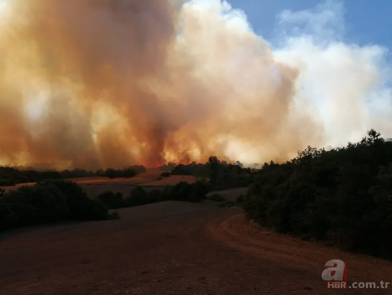Bursa Yenişehir'de korkutan orman yangını! 8
