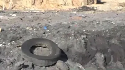 Seyhan Belediyesi’nden çevre katliamı!