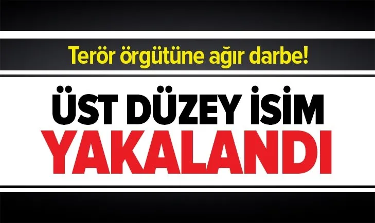 Son dakika: Terör örgütüne ağır darbe! Diyarbakır'ın sözde DEAŞ emiri yakalandı