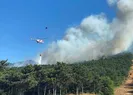 İstanbul’da orman yangını