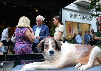 CHP'li belediyede köpek heykeli gururu! Milli Uzay Projesine bile dil uzatanlar halka böyle hizmet veriyor