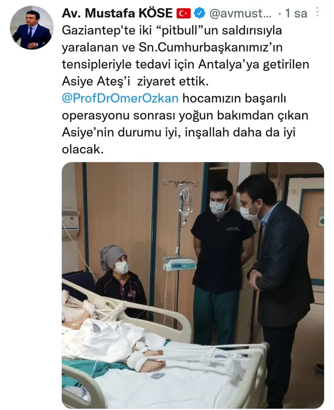 Son dakika: Pitbull vahşetinde yeni deliller ortaya çıktı! Asiye Ateş'ten haber var: İşte son sağlık durumu - 4