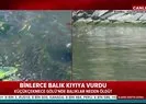 Son dakika: İstanbul Küçükçekmece Gölünde toplu balık ölümleri! Binlerce balık kıyıya vurdu |Video