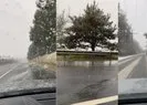 İstanbul’da kar yağışı başladı!