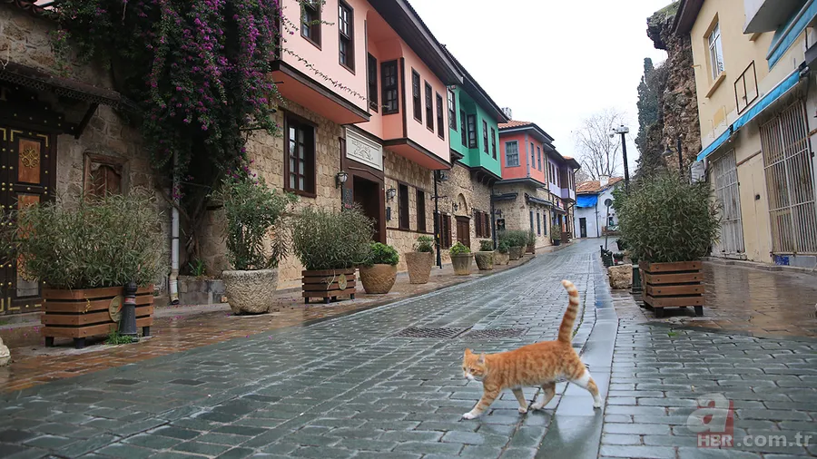 Normalleşme için kritik hafta! Kabine Toplantısı ne zaman yapılacak? İşte merakla beklenen Kabine Toplantısı'nın tarihi 14