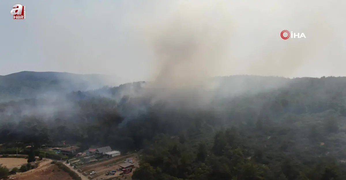 İzmir'deki yangınlar kontrol altında
