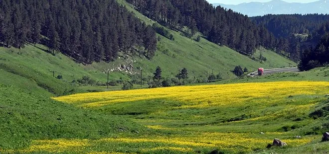 Keklik Vadisi'nde bahar güzelliği!
