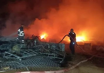 Mardin'de geri dönüşüm tesisinde yangın!