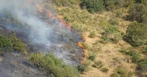 Osmaniye’de çıkan orman yangını söndürüldü
