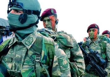 Bordo Bereliler Karadeniz dağlarında