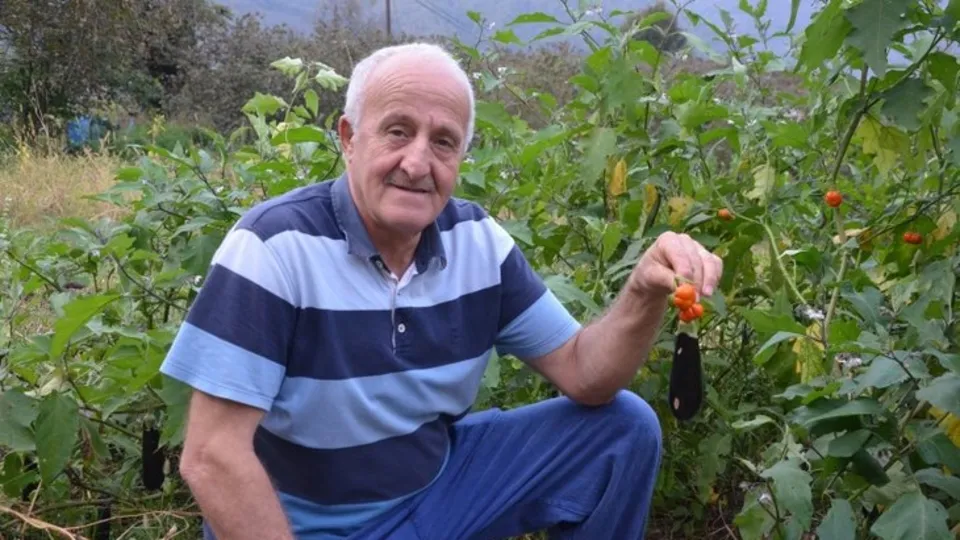 Son dakika: Patlıcan tohumu ekti hayatının şokunu yaşadı! Görenler hayrete düştü