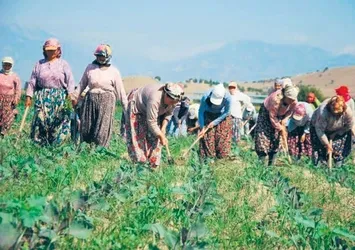 Milyonlarca kişiye ‘sosyal’ koruma geliyor
