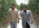 İş garantili burslu okul!