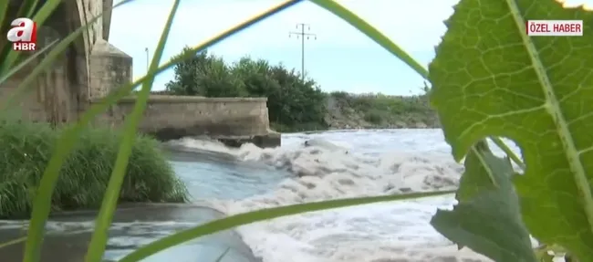 Ergene Nehri’nde çevre kirliliği! Simsiyah akan nehir kokuyor