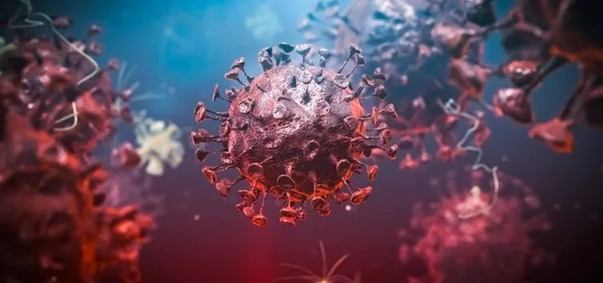 Son dakika | Koronavirüse tuzak! Yeni yöntemle virüs alt edilecek