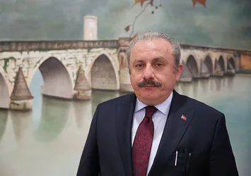 Mustafa Şentop TBMM Başkanı seçildi