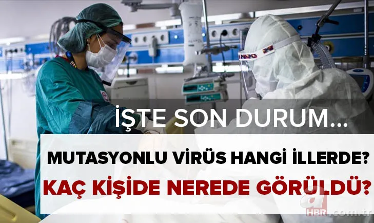 Mutasyonlu virüs bilançosu: Türkiye'de hangi illerde görüldü? Kaç kişide ve nerelerde var? Bir ilde daha ortaya çıktı 1